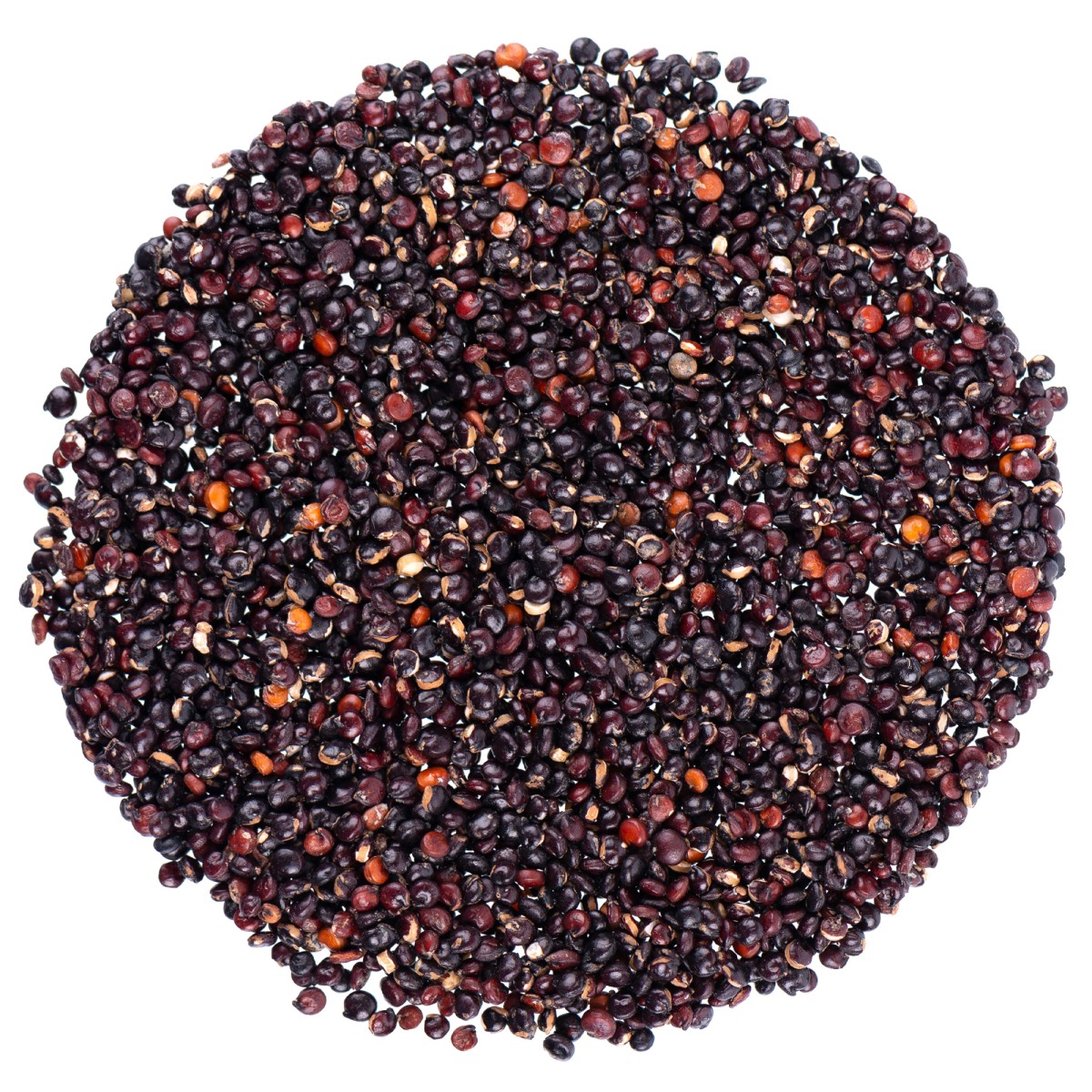 Komosa ryżowa czarna